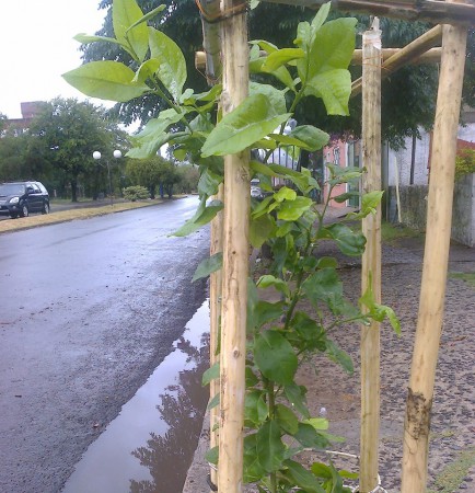 Co-crea el mundo que sientes, un mundo verdadero.